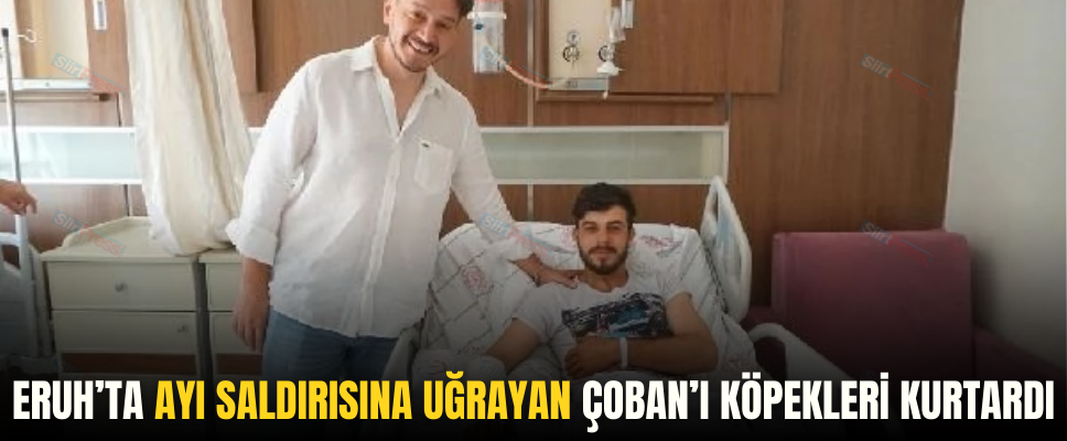 ERUH’TA AYI SALDIRISINA UĞRAYAN ÇOBAN’I KÖPEKLERİ KURTARDI