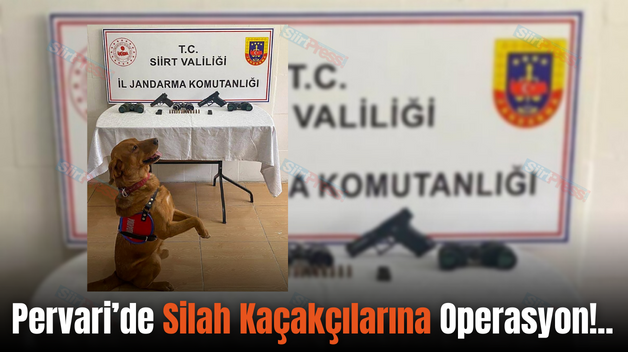 Pervari’de Silah Kaçakçılarına Operasyon!..