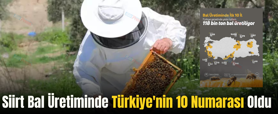 Siirt Bal Üretiminde Türkiye’nin 10 Numarası Oldu