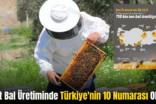 Siirt Bal Üretiminde Türkiye’nin 10 Numarası Oldu