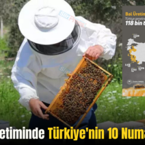 Siirt Bal Üretiminde Türkiye’nin 10 Numarası Oldu