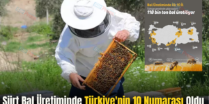 Siirt Bal Üretiminde Türkiye’nin 10 Numarası Oldu