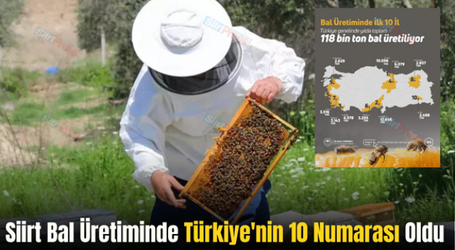 Siirt Bal Üretiminde Türkiye’nin 10 Numarası Oldu