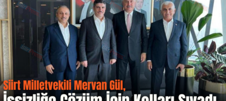 Siirt Milletvekili Mervan Gül, İşsizliğe Çözüm İçin Kolları Sıvadı