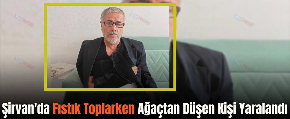 Şirvan’da Fıstık Toplarken Ağaçtan Düşen Kişi Yaralandı