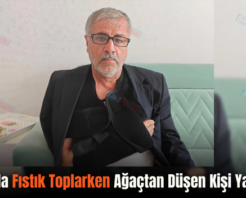 Şirvan’da Fıstık Toplarken Ağaçtan Düşen Kişi Yaralandı