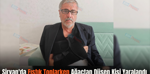 Şirvan’da Fıstık Toplarken Ağaçtan Düşen Kişi Yaralandı