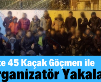 Siirt’te 45 Kaçak Göçmen ile 2 Organizatör Yakalandı