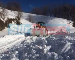 Siirt’te Kar Nedeniyle 73 Köy Yoluna Ulaşım Sağlanamıyor