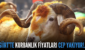SİİRT’TE KURBANLIK FİYATLARI CEP YAKIYOR!..