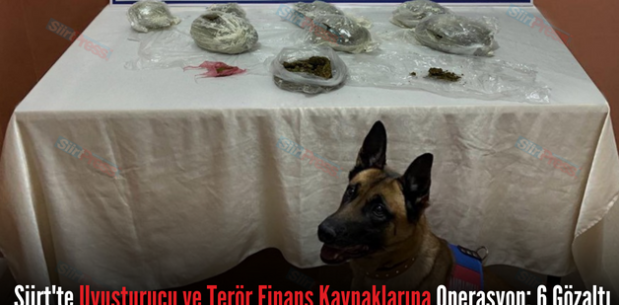 Siirt’te Uyuşturucu ve Terör Finans Kaynaklarına Operasyon: 6 Gözaltı