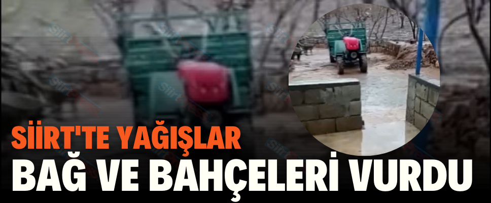 SİİRT’TE YAĞIŞLAR BAĞ VE BAHÇELERİ VURDU