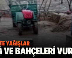 SİİRT’TE YAĞIŞLAR BAĞ VE BAHÇELERİ VURDU