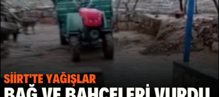 SİİRT’TE YAĞIŞLAR BAĞ VE BAHÇELERİ VURDU