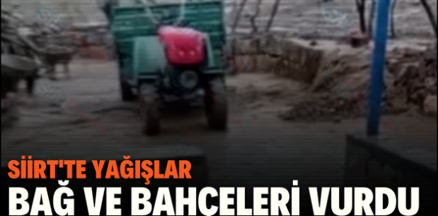 SİİRT’TE YAĞIŞLAR BAĞ VE BAHÇELERİ VURDU