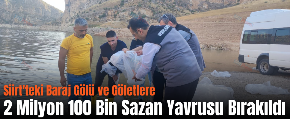 Siirt’teki Baraj Gölü ve Göletlere 2 Milyon 100 Bin Sazan Yavrusu Bırakıldı