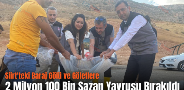 Siirt’teki Baraj Gölü ve Göletlere 2 Milyon 100 Bin Sazan Yavrusu Bırakıldı