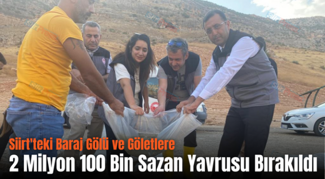 Siirt’teki Baraj Gölü ve Göletlere 2 Milyon 100 Bin Sazan Yavrusu Bırakıldı