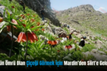 20 Gün Ömrü Olan Çiçeği Görmek İçin Mardin’den Siirt’e Geldiler