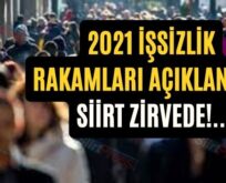 2021 İşsizlik Rakamları Açıklandı!.. Siirt Zirvede!..