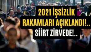 2021 İşsizlik Rakamları Açıklandı!.. Siirt Zirvede!..