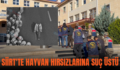 SİİRT’TE HAYVAN HIRSIZLARINA SUÇ ÜSTÜ