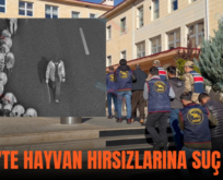 SİİRT’TE HAYVAN HIRSIZLARINA SUÇ ÜSTÜ