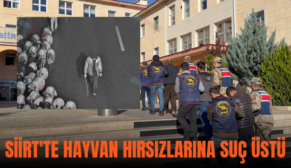 SİİRT’TE HAYVAN HIRSIZLARINA SUÇ ÜSTÜ