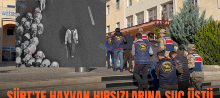 SİİRT’TE HAYVAN HIRSIZLARINA SUÇ ÜSTÜ