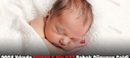 2024 Yılında Siirt’te 5 Bin 977 Bebek Dünyaya Geldi