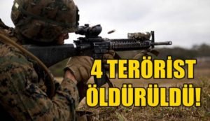 Türk Silahlı Kuvvetlerince (TSK) Siirt’in Pervari ilçesine bağlı (Karamık) bölgesinde