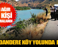 MEYDANDERE KÖY YOLUNDA KAZA: 1’İ AĞIR 3 YARALI