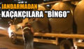 JANDARMADAN KAÇAKÇILARA “BİNGO”