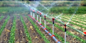 SİİRT’TE TARIM’A CAN SUYU