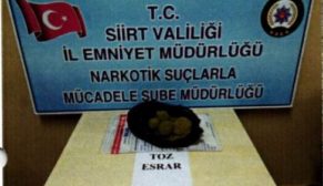 SİİRT NARKOTİK EKİPLERİNDEN “TORBACI” AVI