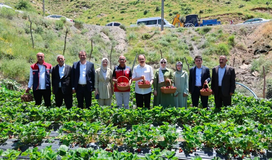 Siirt Valisi ve Belediye Başkan Vekili Dr. Kemal Kızılkaya ile