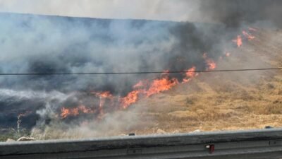 Siirt Üniversitesi Kezer Yerleşkesi yakınlarında çıkan anız yangınında 100 dönümden