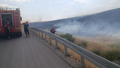 Siirt Üniversitesi Kezer Yerleşkesi yakınlarında çıkan anız yangınında 100 dönümden