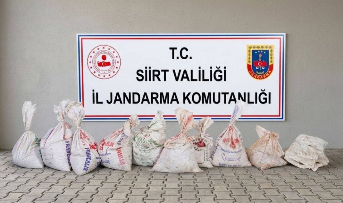 Siirt’in merkez ilçesine bağlı Kayaboğaz köyünde bir fıstık bahçesinden yaklaşık