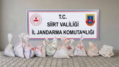 Siirt’in merkez ilçesine bağlı Kayaboğaz köyünde bir fıstık bahçesinden yaklaşık