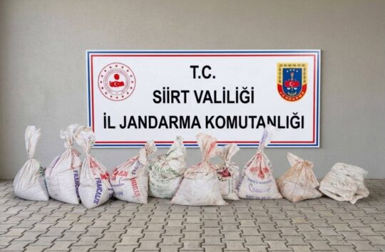 Siirt’in merkez ilçesine bağlı Kayaboğaz köyünde bir fıstık bahçesinden yaklaşık
