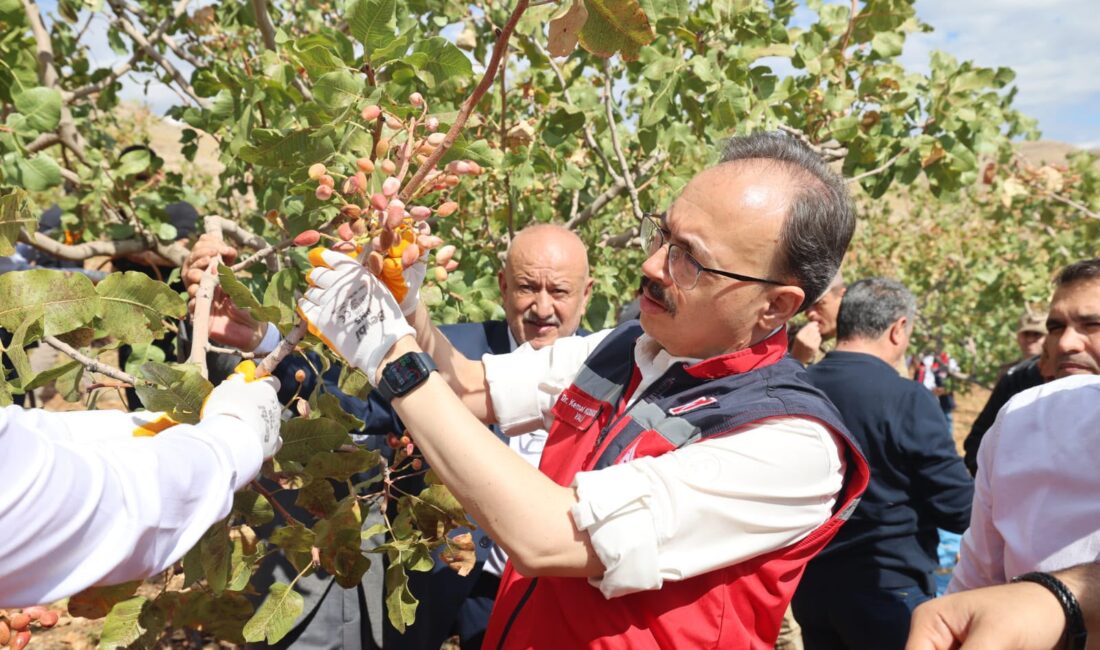 Siirt Fıstığı Doğa ve Kültür Festivali Renkli Görüntülere Sahne oldu.