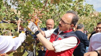 Siirt Fıstığı Doğa ve Kültür Festivali Renkli Görüntülere Sahne oldu.