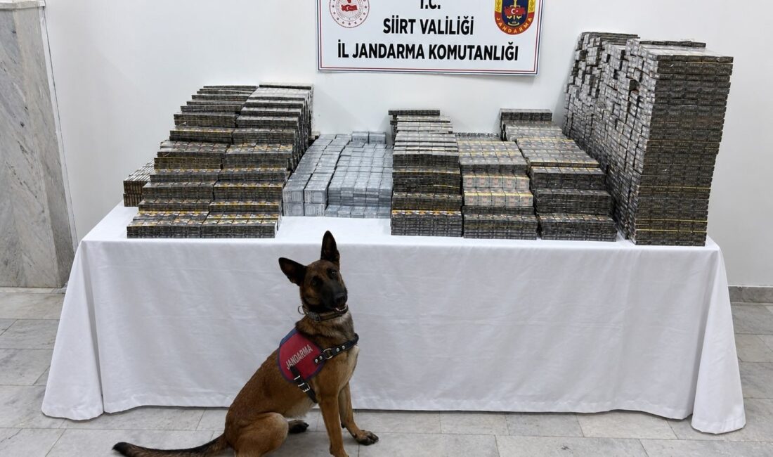Siirt’te jandarma ekiplerince gerçekleştirilen kaçakçılık operasyonunda, kömür çuvalları arasına gizlenmiş