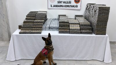 Siirt’te jandarma ekiplerince gerçekleştirilen kaçakçılık operasyonunda, kömür çuvalları arasına gizlenmiş