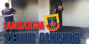 JANDARMA ZEHİR AVINDA