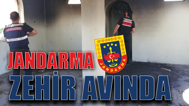 JANDARMA ZEHİR AVINDA