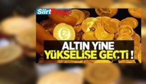 ABD’de Enflasyonun 40 Yılın Zirvesine Çıkmasıyla Altın Yükselişe Geçti