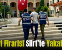 Ahlat Firarisi Siirt’te Yakalandı