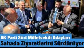 AK Parti Siirt Milletvekili Adayları Sahada Ziyaretlerini Sürdürüyor